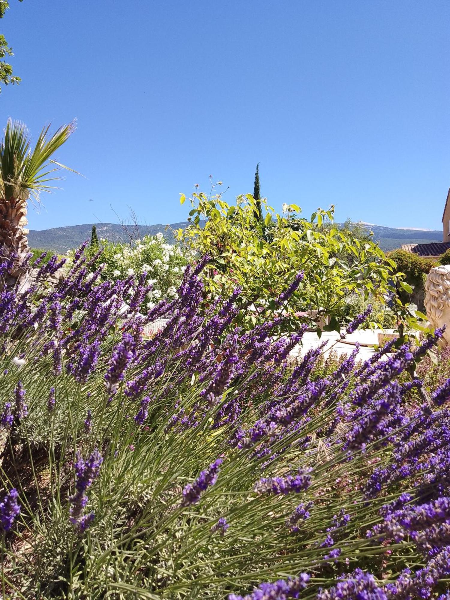 Les Gites Du Mont Ventoux Bédoin Kültér fotó